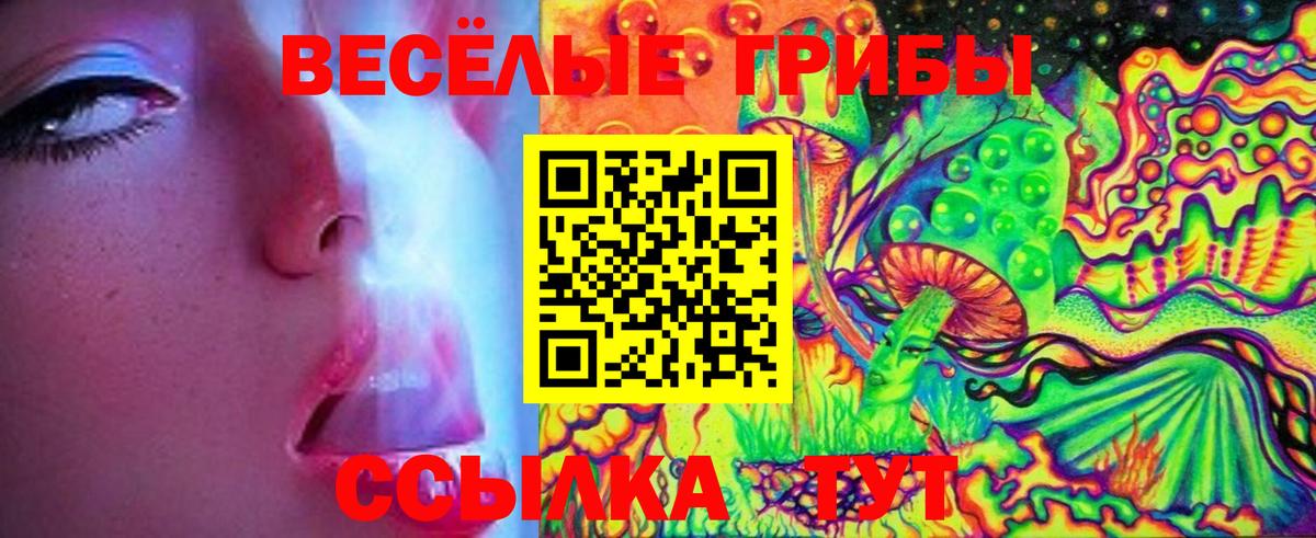 Борзя  Галлюциногенные грибы мицелий  Псилоцибиновые грибы MAGIC MUSHROOMS  Вход с VPN 